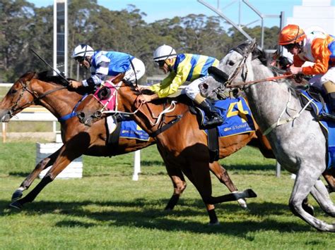 Racing Information — Moruya Jockey Club .